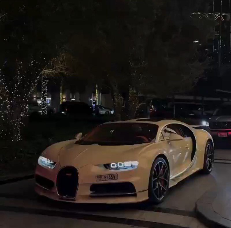 𝗧𝗥𝗔𝗗𝗘 𝗪𝗜𝗧𝗛 𝗥𝗘𝗫